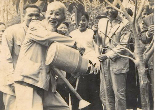Bác Hồ trồng cây đa tại xã Vật Lại, Ba Vì, Hà Tây (nay là Hà Nội) ngày 16/2/1969. Nguồn: Bảo tàng Hồ Chí Minh